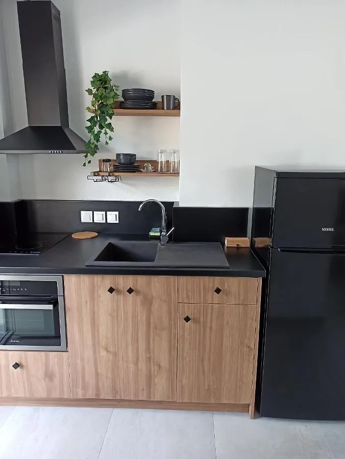 Apartamento Twins Yard Nikiti